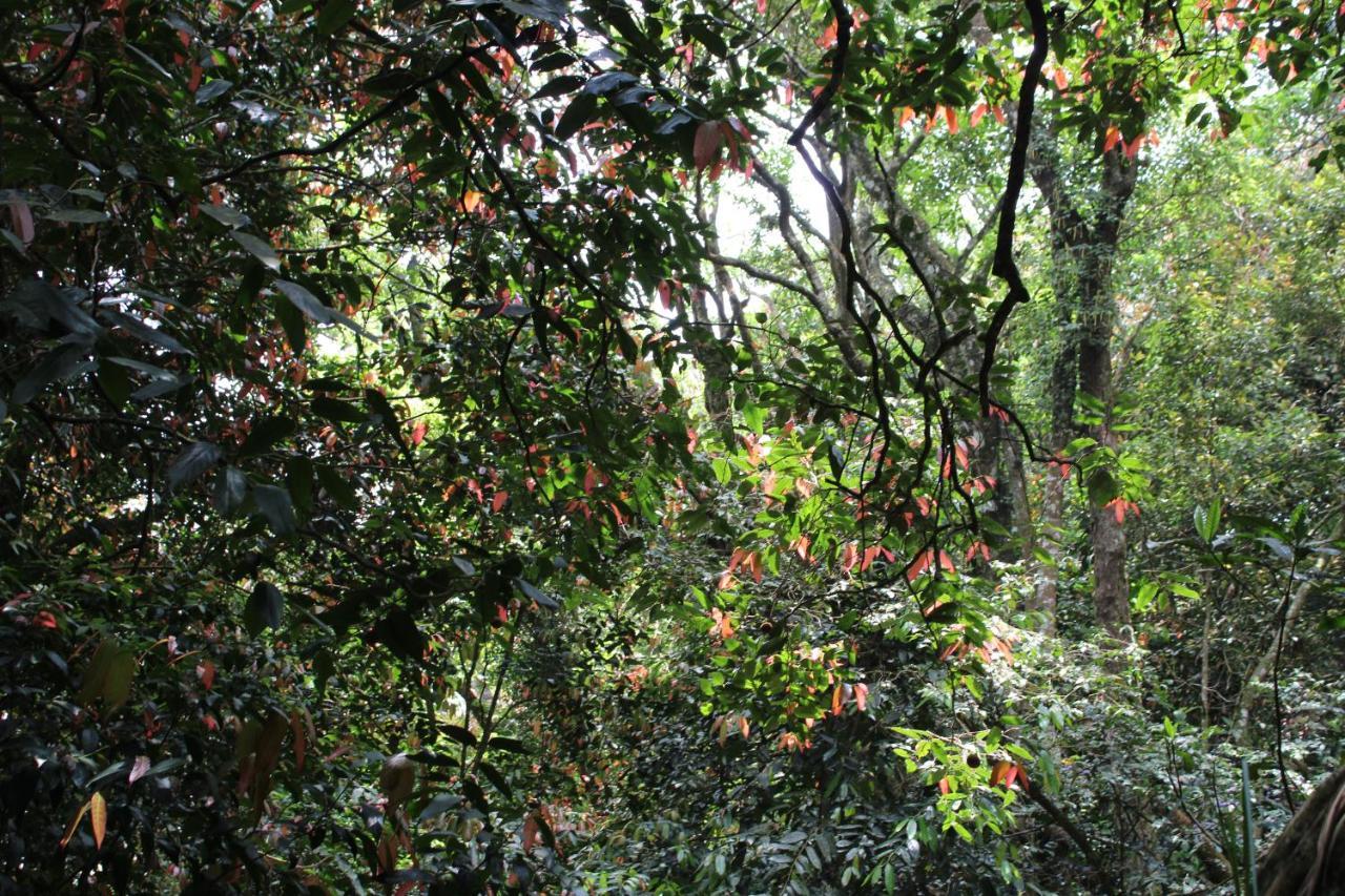 Hotel Hidden Heaven Coonoor Exterior foto